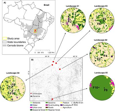 Multi-Scale Landscape Influences on Genetic Diversity and Adaptive Traits in a Neotropical Savanna Tree